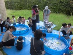 水遊び0803