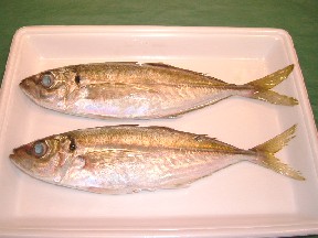 アジ