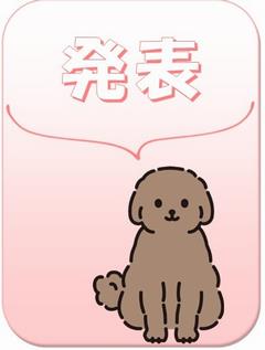 発表