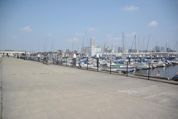 岸辺には十分な撮影スペースがあります。 岸辺には十分な撮影スペースがあります。